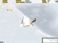 Ski Sim